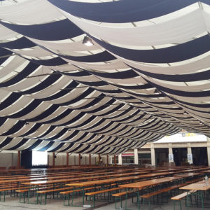 carpa-vestida carpa-vestida